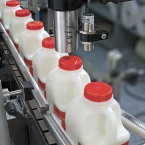 Dairy  อุตสาหกรรมผลิตภัณฑ์จากนม